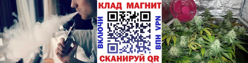 Виды наркотиков купить Дмитровск COCAIN  Амфетамин  Конопля  Мефедрон 