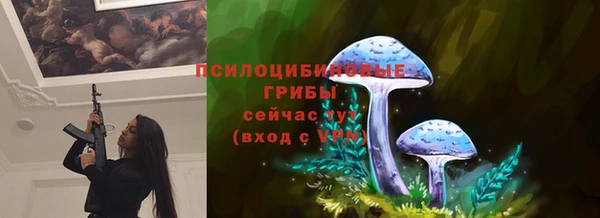 таблы Бородино