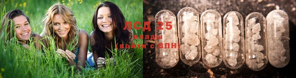 герыч Магас