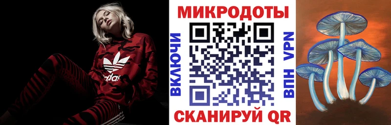 наркошоп  Дмитровск  Галлюциногенные грибы Cubensis 